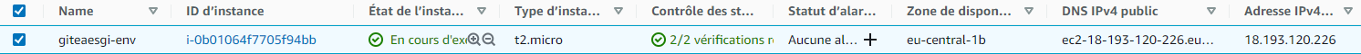 gitea-instance-ip-aws.png